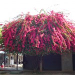 20130425_2